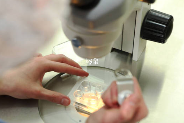 中信湘雅人工授精成功率并不低