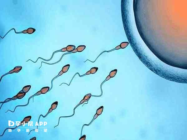 海口有8家医院可以做人工授精
