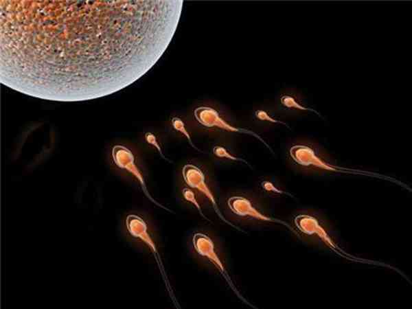 洛阳妇幼保健院供精试管技术了解一下，附成功率参考