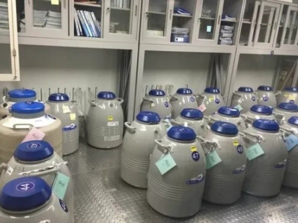 一个人一生只能捐一次精