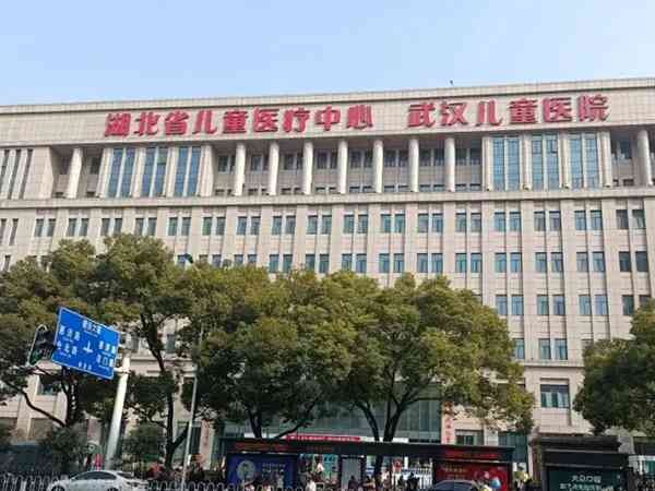 武汉儿童医院移植一个鲜胚有没有希望戳，双胞胎比较渺茫