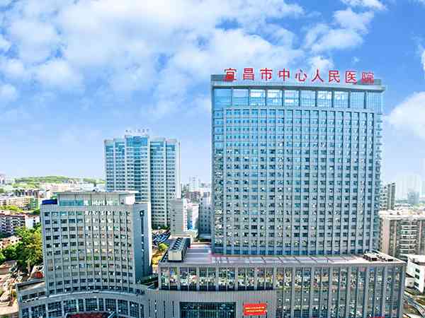 宜昌中心医院试管成功率揭晓，移植1个冻胚最高能达...