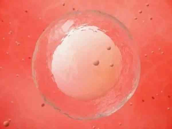 试管只有3个卵泡有没有希望戳，质量好也不是不能成功