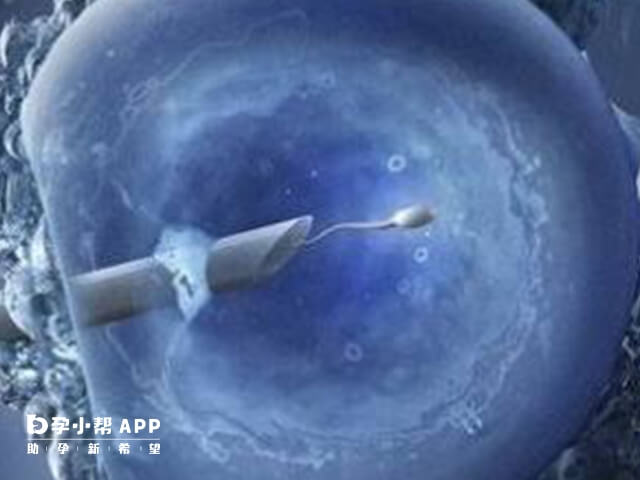 供卵三代试管移植成功率不定
